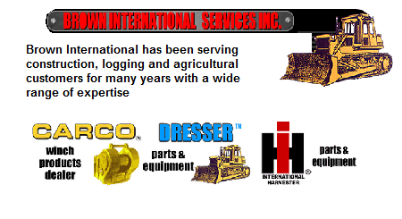 Brown International Services, INC.